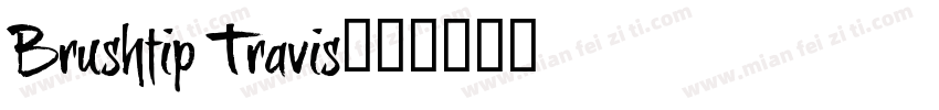 Brushtip Travis字体转换